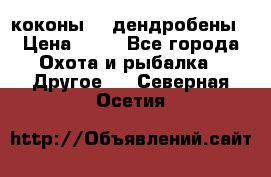коконы    дендробены › Цена ­ 25 - Все города Охота и рыбалка » Другое   . Северная Осетия
